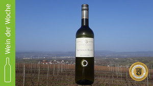 Der Wein der Woche 2021 Kalenderwoche 11 stammt vom Weingut Kathrinenhof aus Aspisheim