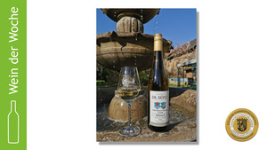 Der Wein der Woche 2021 Kalenderwoche 17 stammt vom Weingut Schlossmühle Dr. Höfer in Burg Layen