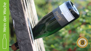 Der Wein der Woche 2021 Kalenderwoche 14 stammt vom Weingut Hubertus Reis aus Briedel.