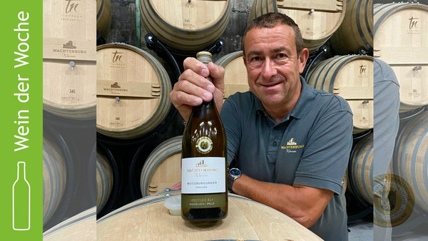 2021 Pfalz Weißburgunder Qualitätswein trocken von der Winzergenossenschaft Wachtenburg aus Wachenheim a.d.Weinstr
